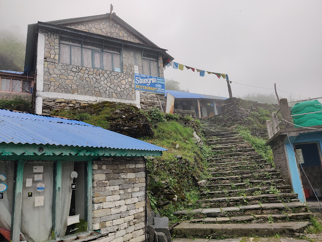 Solo Backpacker Guide To Annapurna Base Camp Trek Deurali 