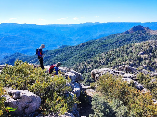 Circular a Peña Corva desde el Área Recreativa Gil Cobo (Sierra de Las Villas)