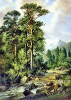  Landscape 