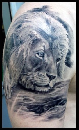 Lion Tattoo Designs on Tattoo Designs And Tattoo Pictures  Lion Lie Tattoo Design