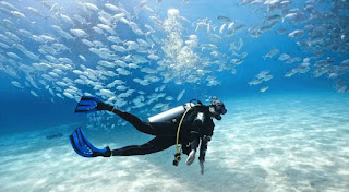 Scuba diving Cancun