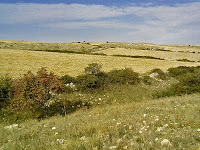 Panorama murgiano