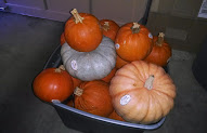 Concept 49+ Home Depot After Halloween Sale