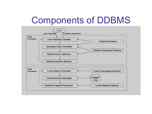 Components of a Distributed DBMS 