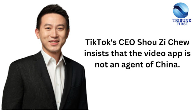 TikTok's CEO Shou Zi Chew insists that the video app is not an agent of China.