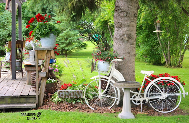 Photo of a garden bike leaning against a tree in a junk garden.