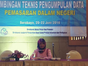 BIMTEK pengumpulan data pemasaran dalam negeri