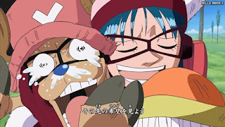 ワンピースアニメ 主題歌 ウォーターセブン編 OPテーマ 5 ココロのちず | ONE PIECE OP 5