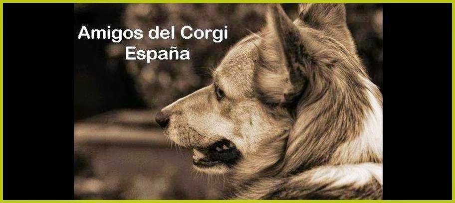 Amigos del Corgi España