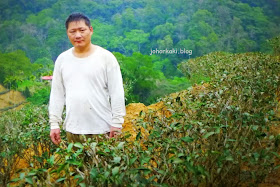 Oriental-Beauty-Oolong-Tea-Hsinchu-Taiwan-劉家龍茶園.東方美人茶