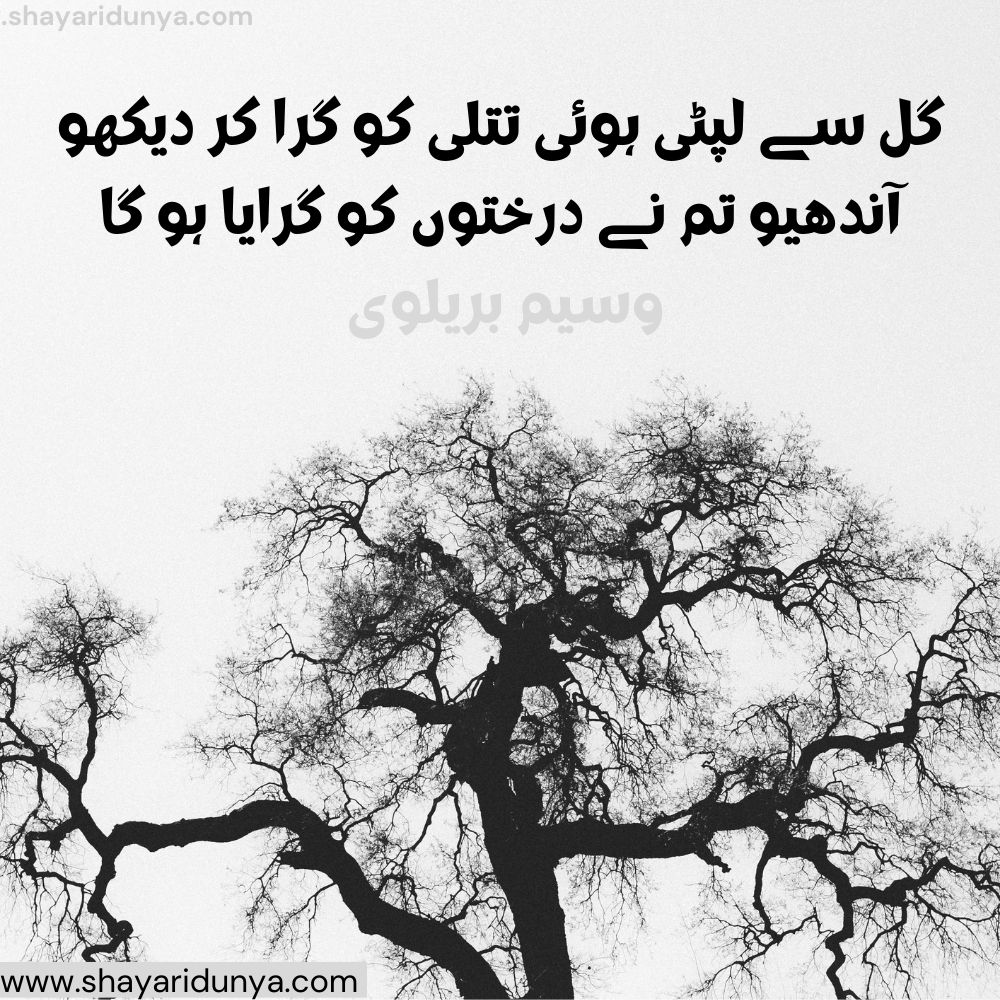 Top darakht Shayari |darakht Poetry | shayari on trees in urdu | shayari on trees in urdu | Tree Shayari Urdu