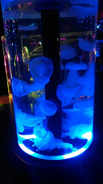 Des méduses avec des lumières de couleurs
