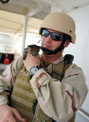 gambar kucing dan tentara 3