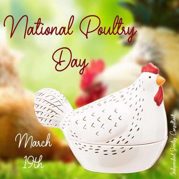 National Poultry Day Wishes