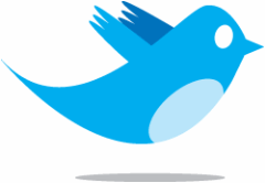 Twitter bird