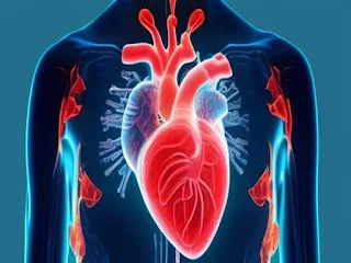 Heart is the main organ of human body management