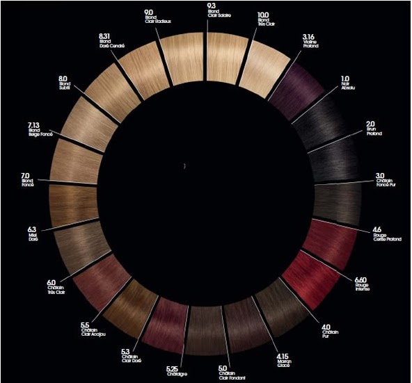 REVUE COLORATION : Olia de GARNIER