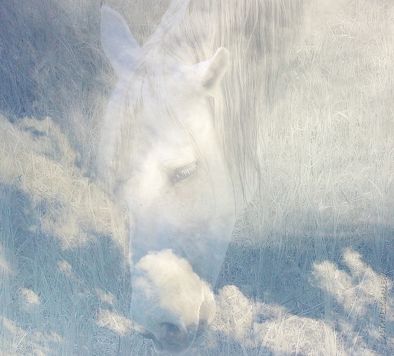Арт фотография из серии "Облачные лошадки". Фотограф Цуриков Илья