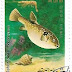 1977 - Coreia do Norte - Sphoeroides porphyreus