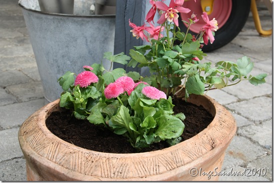 sommerklar terrasse og Bumle 007
