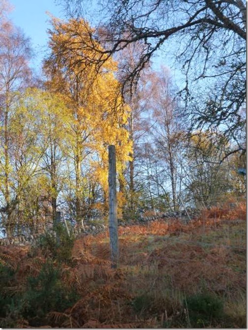 dunkeld16