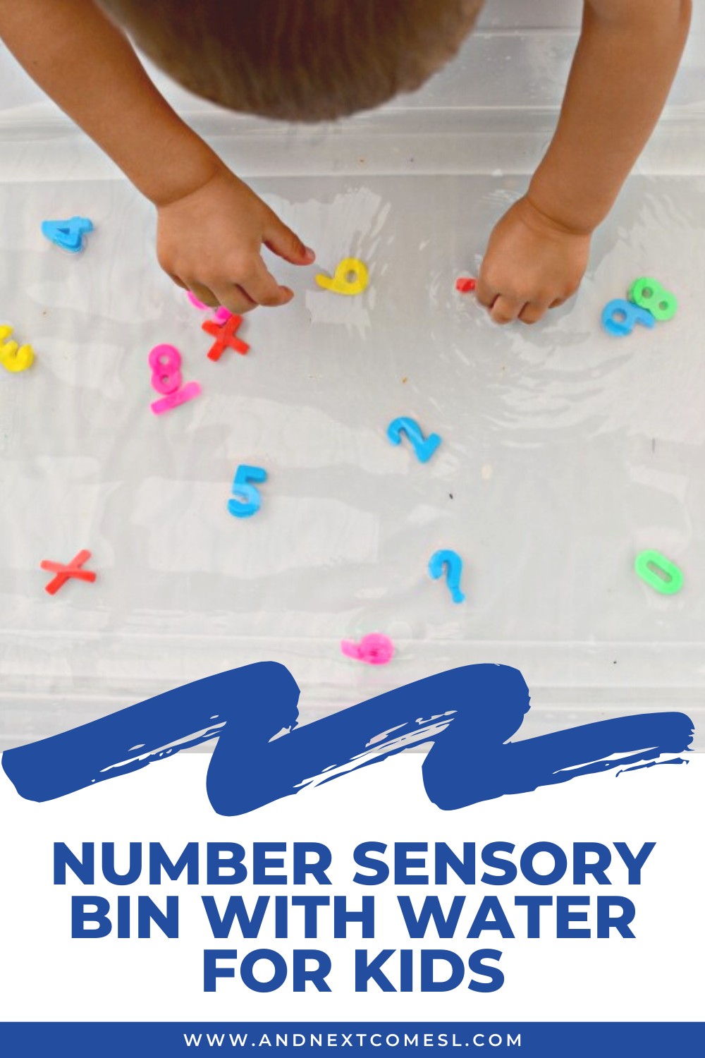 Number Sensory Bin with Water for Kids  And Next Comes L - Hyperlexia  Resources