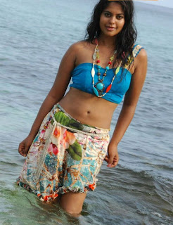 Bindu Madhavi Hot Images