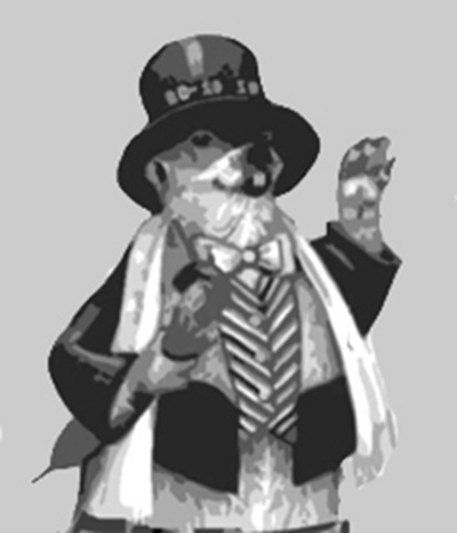 groundhog grey