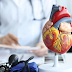 Dia do Cardiologista: Especialista dá 4 dicas para cuidar da saúde do coração