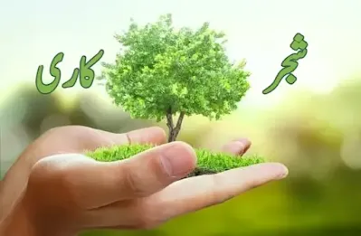 Tree plantation in Pakistan essay in Urdu without pdf شجر کاری