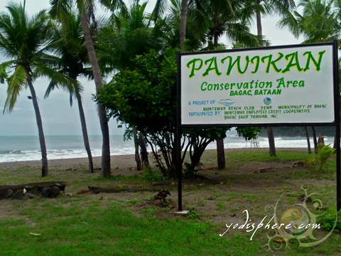 Beach area as Pawikan Conservation Area in Bagac Bataan