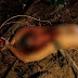 Corpo é encontrado com sinais de tortura em área de mata no Cidade Nova