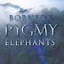 Borneo's Pygmy Elephants (2007)