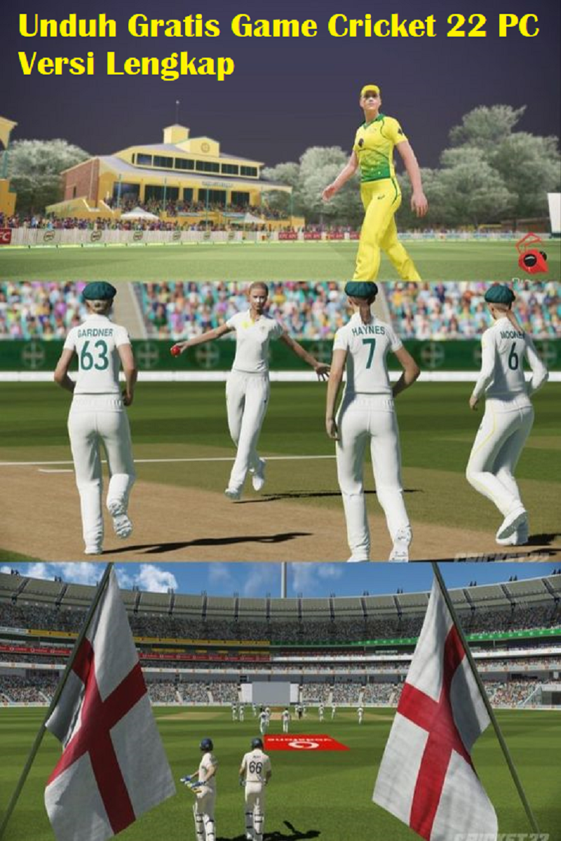 Unduh Gratis Game Cricket 22 PC Versi Lengkap