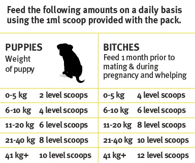 Dog Feeding Guidelines2