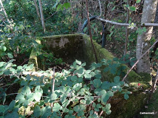 urbex-villa-manoir-Amélie-piano-extérieurs-abreuvoir-jpg