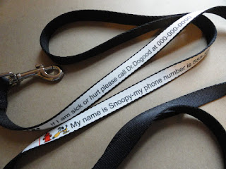 Personalized Dog Leash