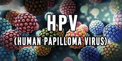 HPV (Human Papilloma Virus)