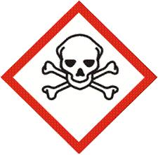 makalah bahan berbahaya dan beracun