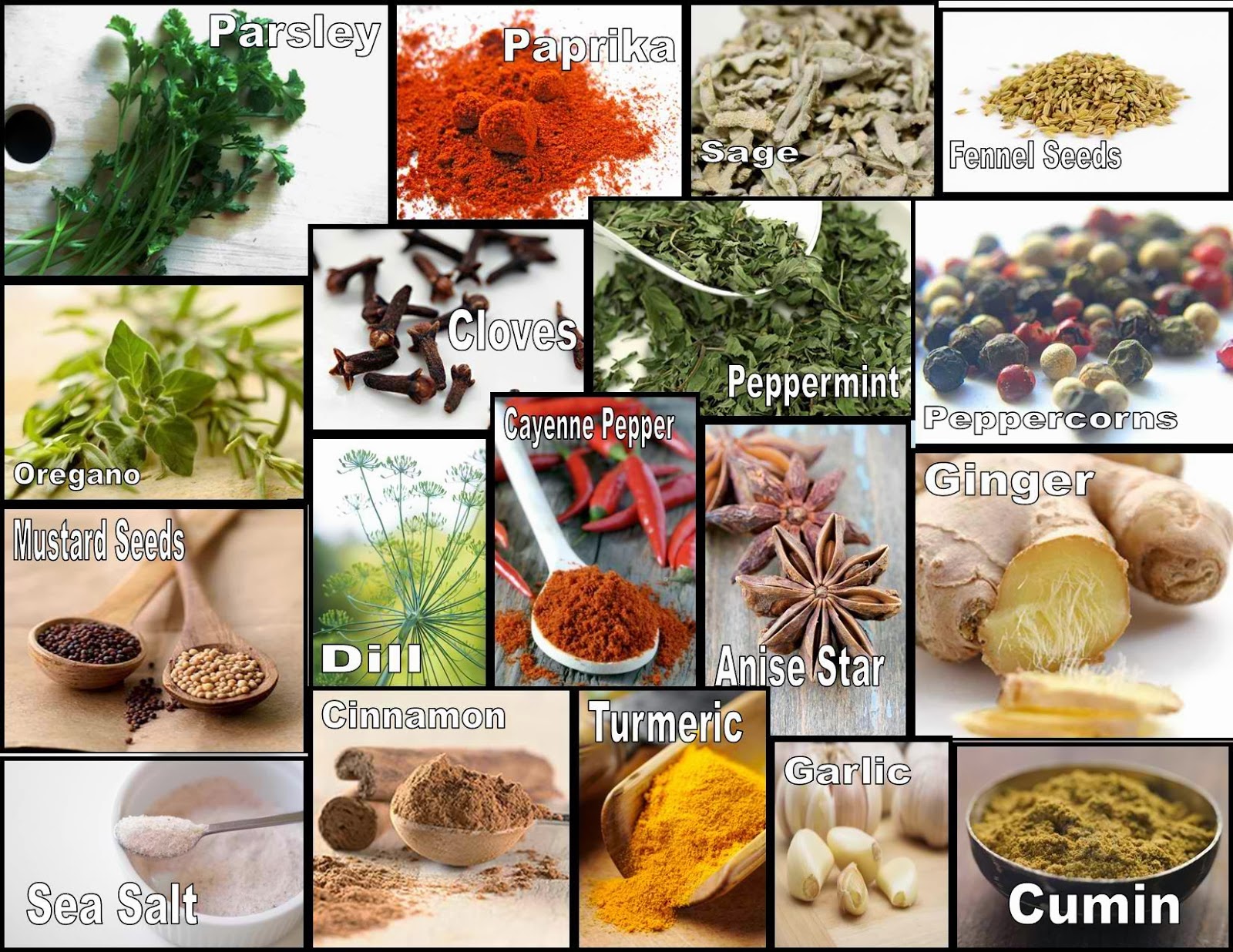 Natürlich Gesund: Herbs and Spices - Health Benefits on {keyword}