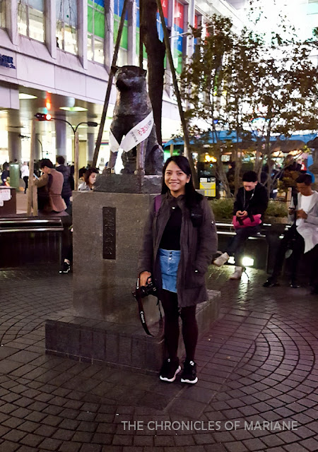 tokyo hachiko