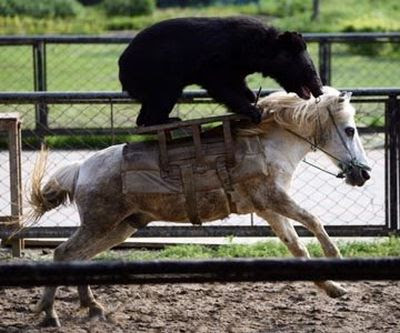 Unusual Animal Friendships Seen On www.coolpicturegallery.net