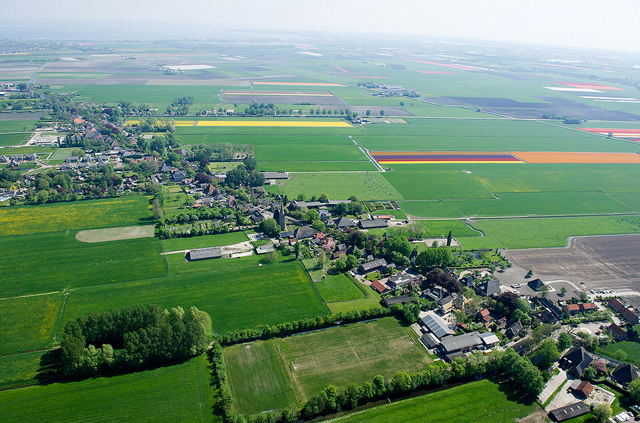 Fotos aéreas de plantações de tulipas na Holanda