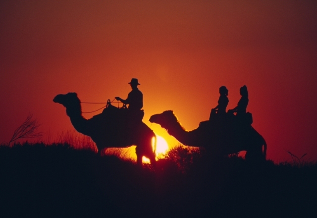 Camel safari in Jaisalmer