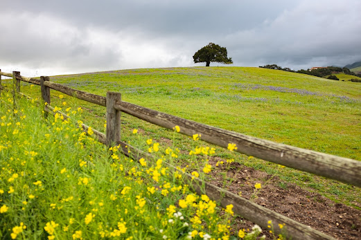 Meme with a photo of a fence and a pasture.