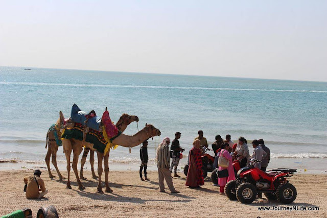  Mandvi Beach - A Tourism Hub of Kutch Gujarat