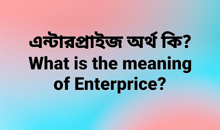 এন্টারপ্রাইজ অর্থ কি? What is the meaning of Enterprice?
