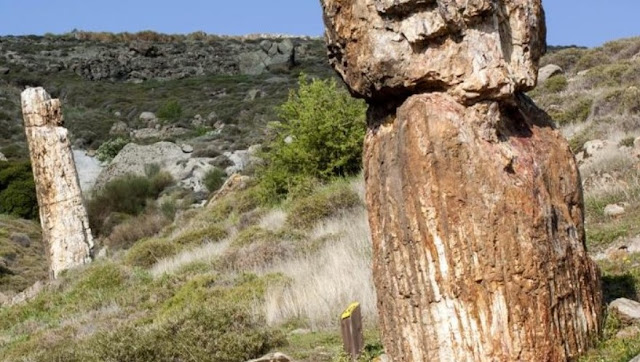 Μυτιλήνη: Από το Πανεπιστήμιο του Λονδίνου μελετώντας τη γεωποικιλότητα και τη βιοποικιλότητα στο Γεωπάρκο Λέσβου