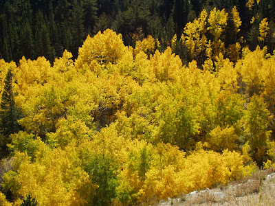 rambling traveler fall colors on the peak to peak scenic byway Peak to Peak Scenic Highway 400x300