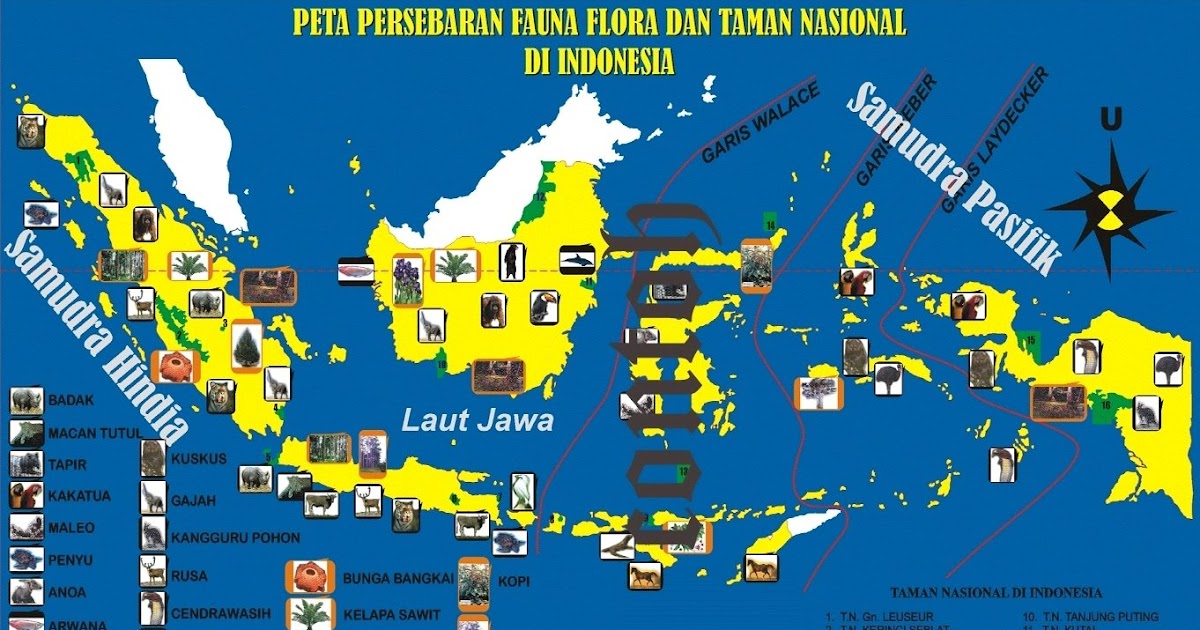 Kebogupak gambar  peta pesebaran fauna  flora